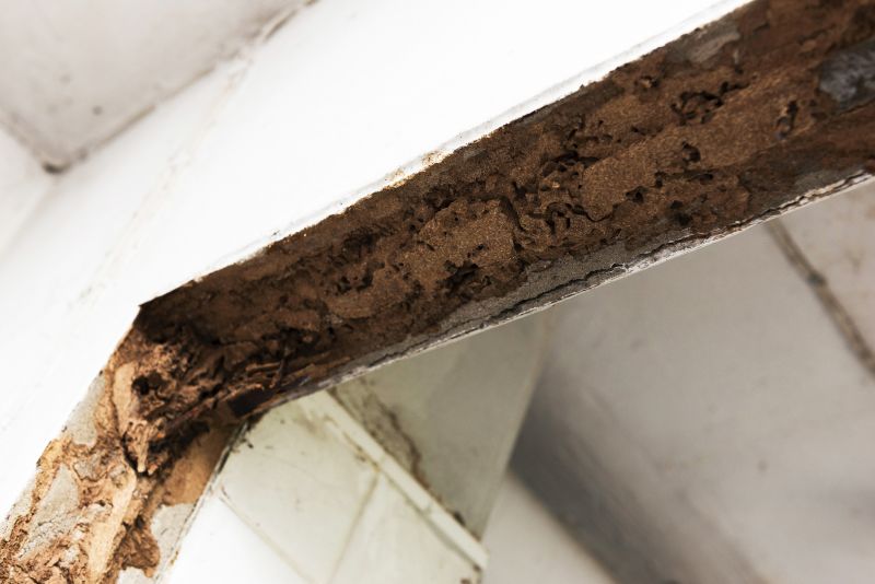 Termite Damage